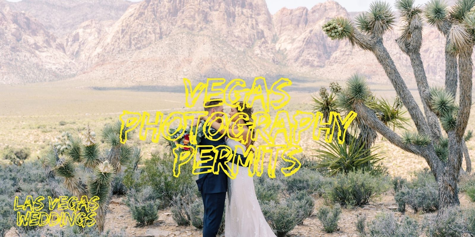 Vegas resort photography policies